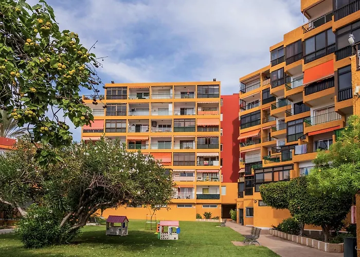 Live Poris Chinchorro